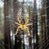 1609F 076a Spree und Havel